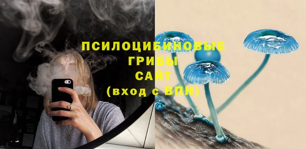 спиды Костерёво