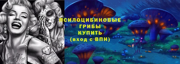 винт Коряжма