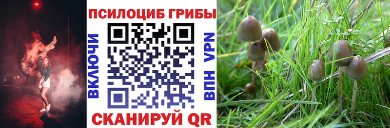 Галлюциногенные грибы Psilocybe  наркошоп  Кудымкар 