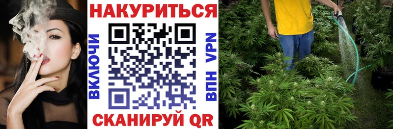 Конопля индика Кудымкар